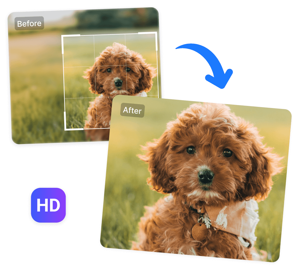 Maintain Quality in Cropped Photos